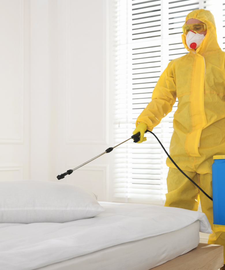 Professional Pest Control Team in Keswick